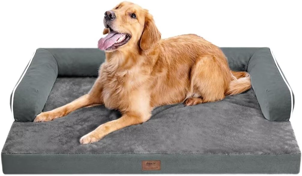 Pet Beds & Furniture