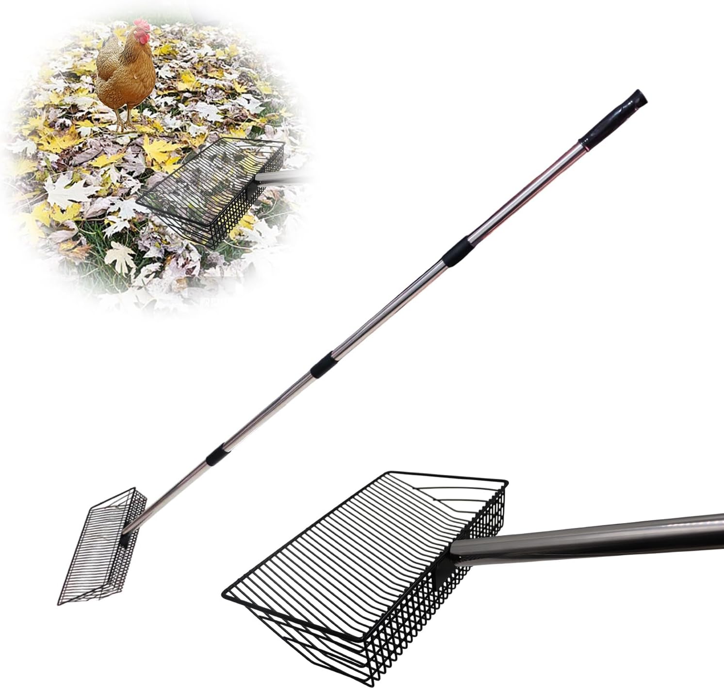 Farm & Ranch Pet Supplies