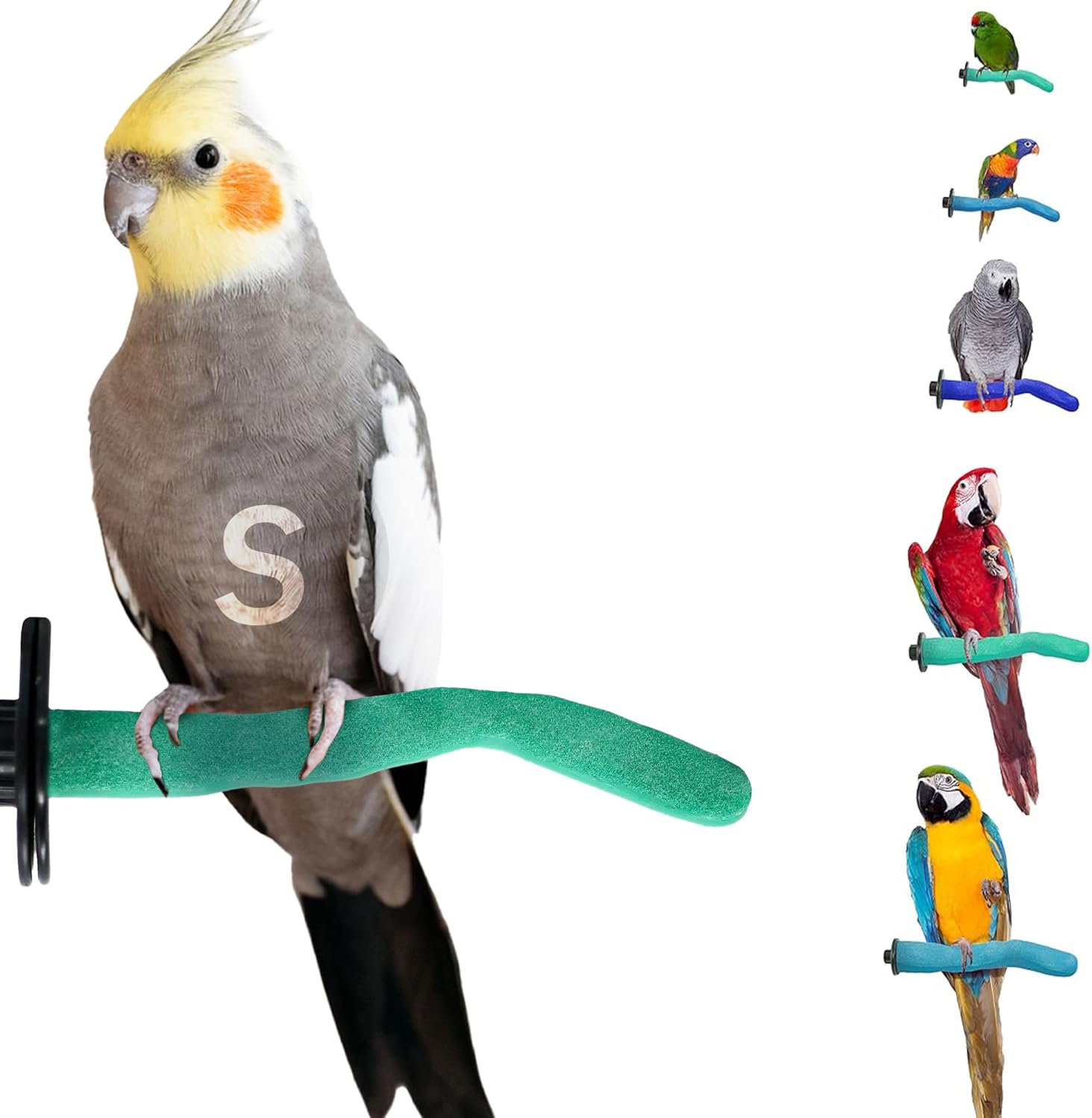 Birdcage & Small Animal Accessories