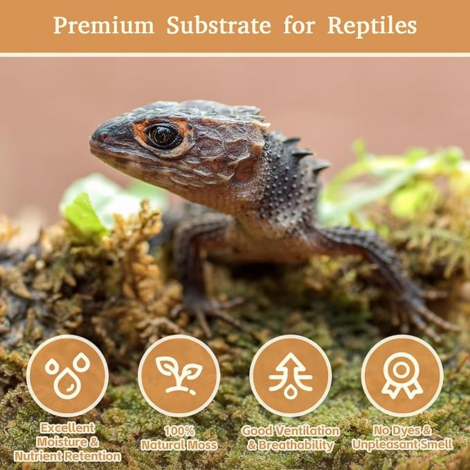 Riare 14OZ Premium Sphagnum Moss for Reptiles- 20QT Natural Reptile Moss Dried, Forest Live Moss for Terrarium, Frogs Snake Peat Moss Bedding for Leopard Gecko Turtle Anoles Salamanders Orchids