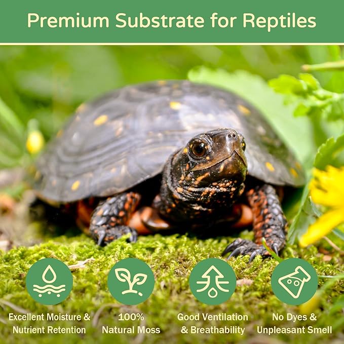 Riare 1.1LB Premium Sphagnum Moss for Reptiles- 25QT Natural Reptile Moss Dried, Forest Live Moss for Terrarium, Frogs Snake Peat Moss Bedding for Leopard Gecko Turtle Anoles Salamanders Orchid