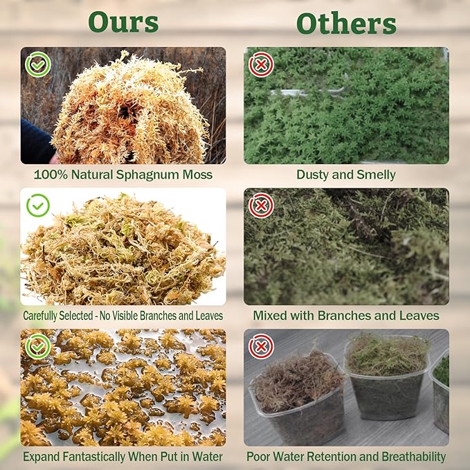 Riare 5.3OZ Premium Sphagnum Moss for Reptiles- 6QT Natural Reptile Moss Dried, Forest Live Moss for Terrarium, Frogs Snake Peat Moss Bedding for Leopard Gecko Turtle Anoles Salamanders Orchids