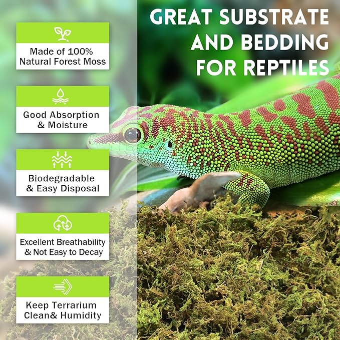 Riare 1.3LB Premium Sphagnum Moss for Reptiles- 50QT Natural Live Moss Reptile Moss Bedding for Terrarium, Hatching, Forest Sphagnum Moss Reptile Substrate for Snakes, Gecko, Turtles, Frogs, Leopard