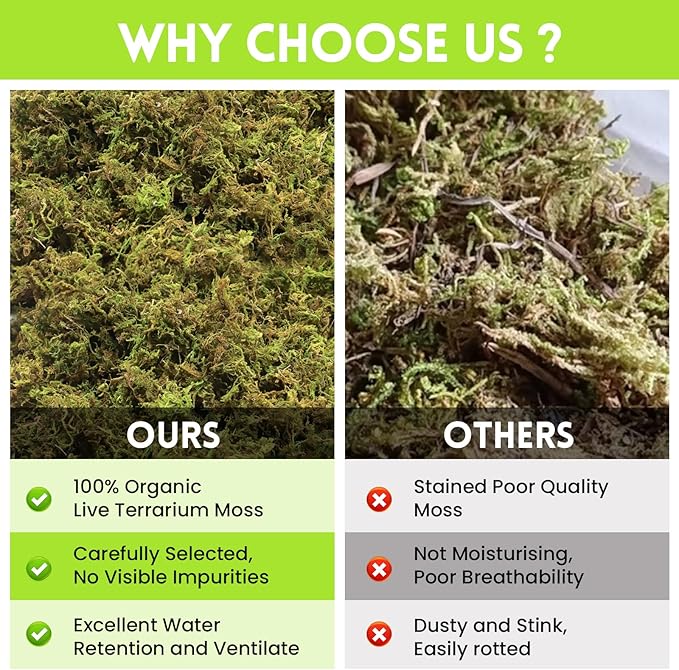 Riare 1.3LB Premium Sphagnum Moss for Reptiles- 50QT Natural Live Moss Reptile Moss Bedding for Terrarium, Hatching, Forest Sphagnum Moss Reptile Substrate for Snakes, Gecko, Turtles, Frogs, Leopard