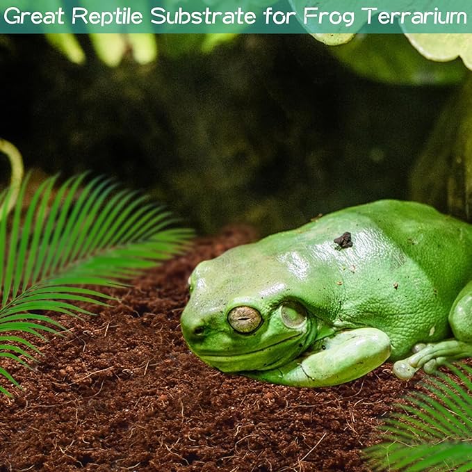 Halatool Coconut Fiber Substrate, 6 Pack Organic Coco Bricks Reptile Bedding for Tortoise Gecko Snake Lizard Hermit Crab Tarantula Worm Bin Frog