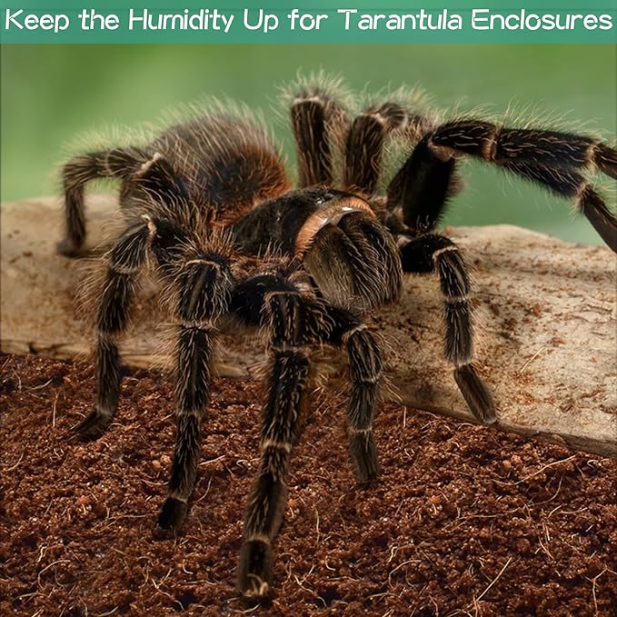 Halatool Coconut Fiber Substrate, 6 Pack Organic Coco Bricks Reptile Bedding for Tortoise Gecko Snake Lizard Hermit Crab Tarantula Worm Bin Frog