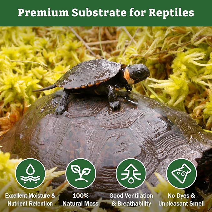 Riare 5.3OZ Premium Sphagnum Moss for Reptiles- 6QT Natural Reptile Moss Dried, Forest Live Moss for Terrarium, Frogs Snake Peat Moss Bedding for Leopard Gecko Turtle Anoles Salamanders Orchids