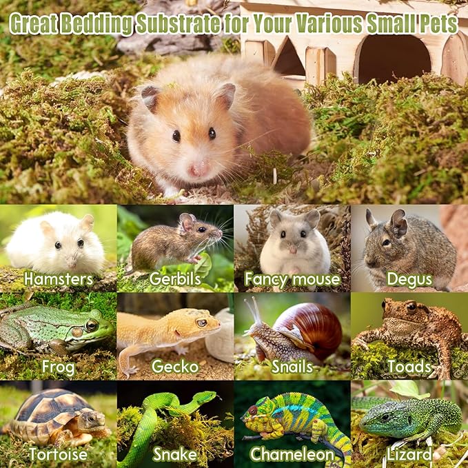 Riare 25QT Natural Sphagnum Moss for Reptiles -Soft Forest Reptiles Moss Bedding Nesting for Hamsters, Terrarium, Mices, Snakes, Turtle, Frog, Gecko Leopard (1.3LB)