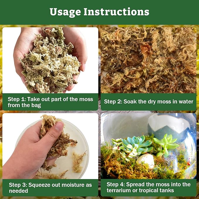 Riare 5.3OZ Premium Sphagnum Moss for Reptiles- 6QT Natural Reptile Moss Dried, Forest Live Moss for Terrarium, Frogs Snake Peat Moss Bedding for Leopard Gecko Turtle Anoles Salamanders Orchids