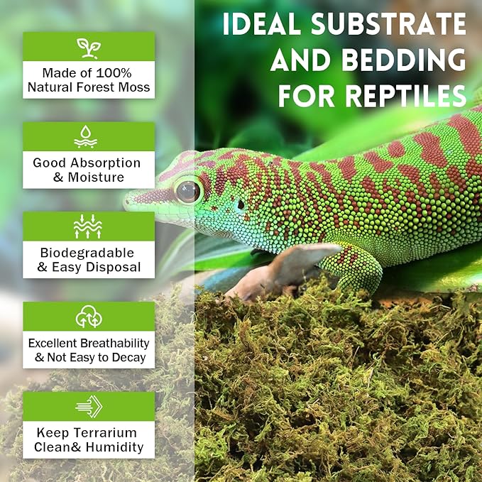 Riare 3.5 OZ Premium Sphagnum Moss for Reptiles- 4QT Natural Live Moss Reptile Moss Bedding for Terrarium, Hatching, Forest Sphagnum Moss Reptile Substrate for Snakes, Gecko, Turtles, Frogs, Leopard