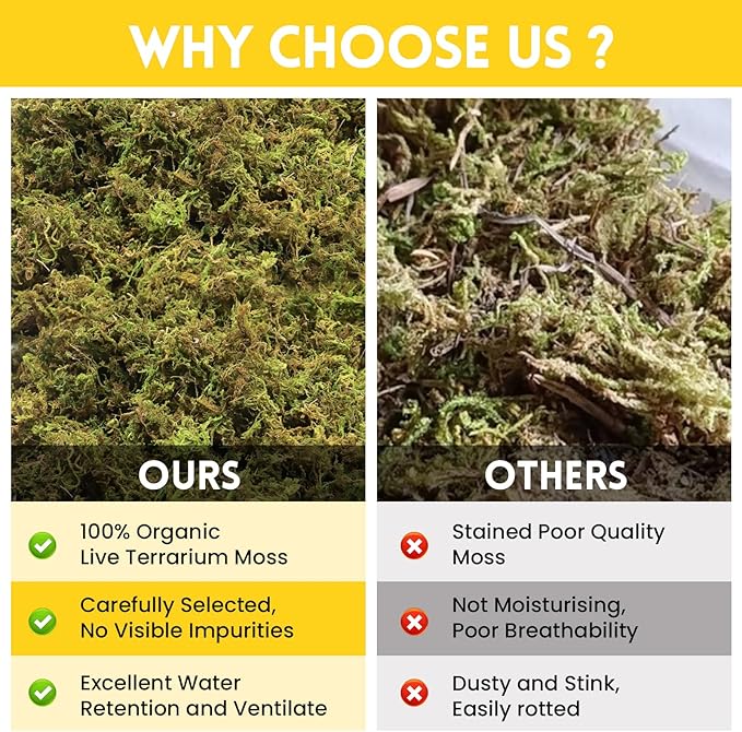 Riare 2.6LB Premium Sphagnum Moss for Reptiles- 100QT Natural Live Moss Reptile Moss Bedding for Terrarium, Hatching, Forest Sphagnum Moss Reptile Substrate for Snakes, Gecko, Turtles, Frogs, Leopard