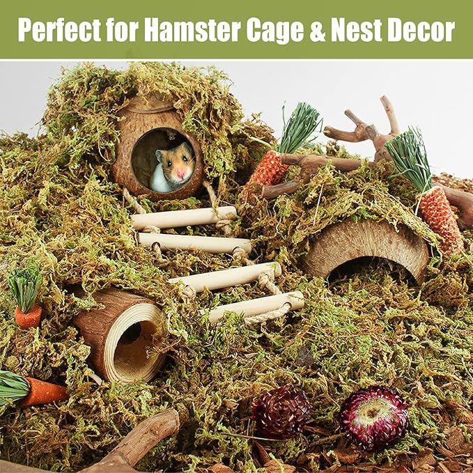 Riare 25QT Natural Sphagnum Moss for Reptiles -Soft Forest Reptiles Moss Bedding Nesting for Hamsters, Terrarium, Mices, Snakes, Turtle, Frog, Gecko Leopard (1.3LB)